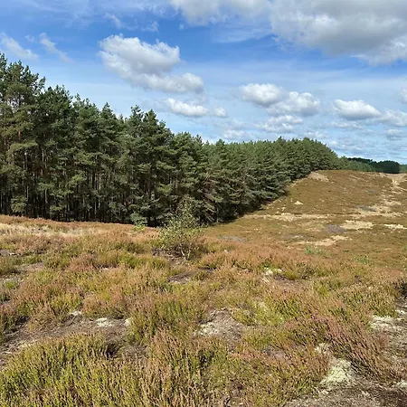 Chojno-mlyn 46 * Chojno-Blota Wielkie