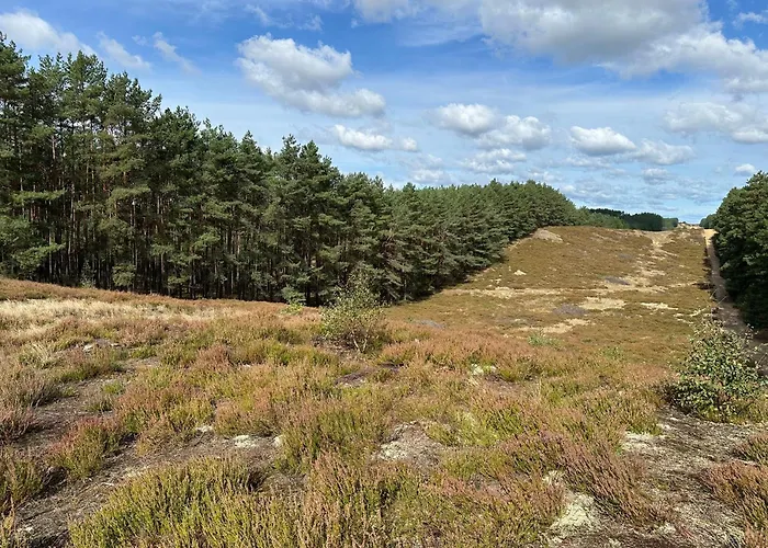 Chojno-mlyn 46 * Chojno-Blota Wielkie