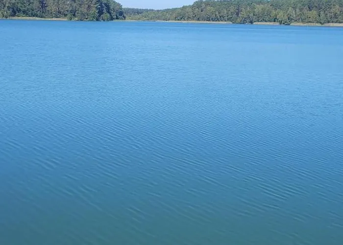 Chojno-mlyn 46 Apartamento Chojno-Blota Wielkie