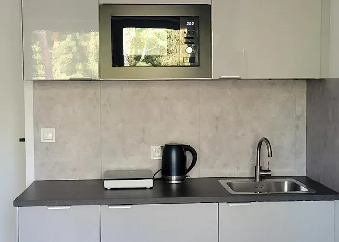 Chojno-mlyn 46 * Chojno-Blota Wielkie