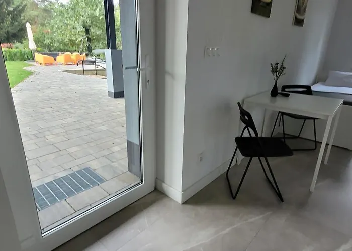 Chojno-mlyn 46 * Chojno-Blota Wielkie